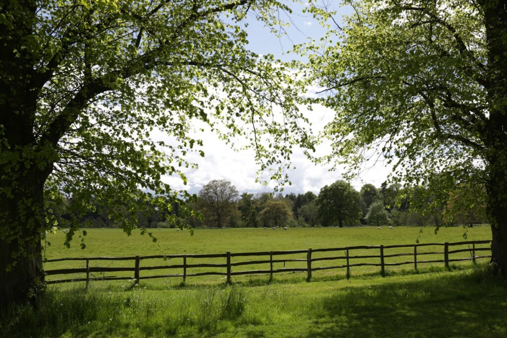 Heerlijk in de natuur in het Groene Hart in Zuid Holland
