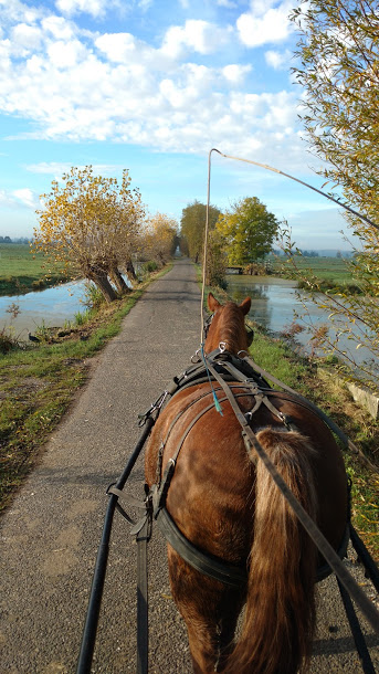 Outdoor activiteiten ontplooien, er is voldoende land en water aanwezig in de polder van de Krimpenerwaard